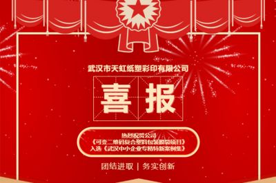 熱烈祝賀公司創(chuàng)新項目入選《武漢中小企業(yè)專精特新案例集》